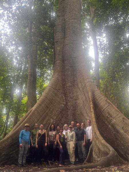 Gruppe steht vor einem riesigen Baum im tropischen Regenwald des Amazonasgebiets